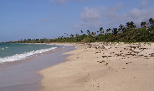 Lovers' Beach